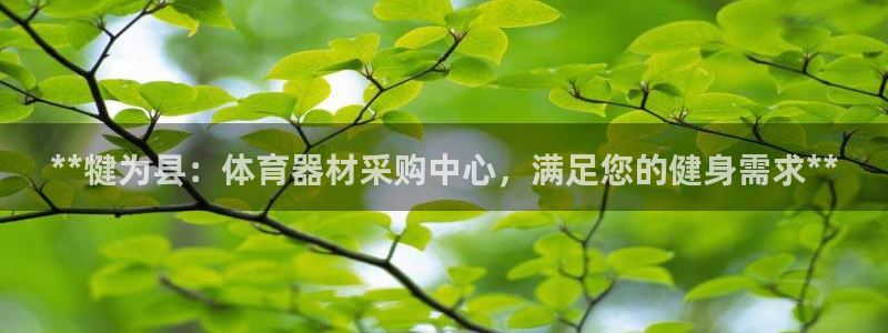 极悦官网登录：**犍为县：体育器材采购中心，满足您的