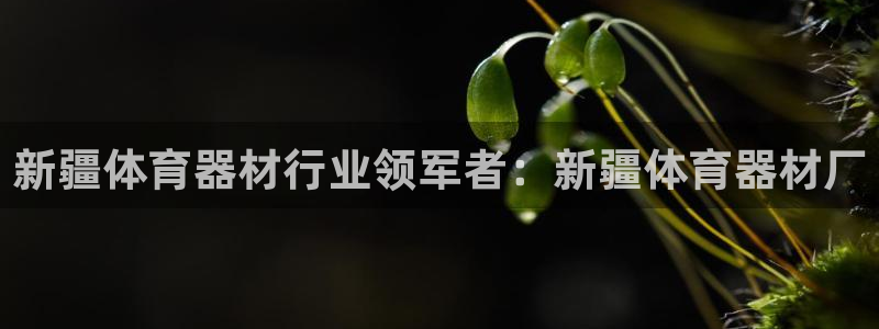 极悦平台注册资金多少亿：新疆体育器材行业领军者：新疆