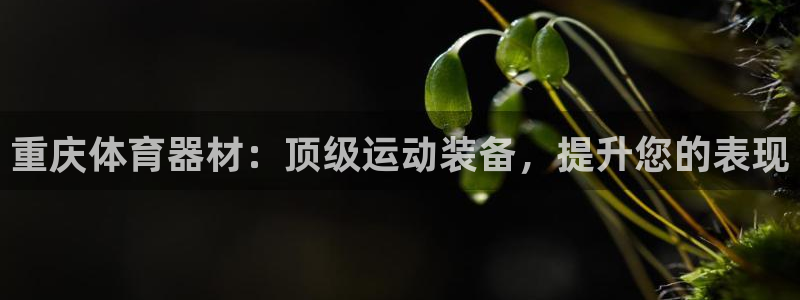 极悦平台方7O777：重庆体育器材：顶级运动装备，提