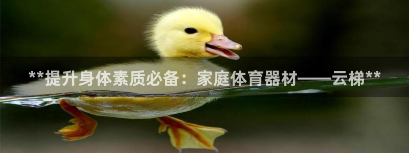 极悦平台注册申请流程详解：**提升身体素质必备：家庭