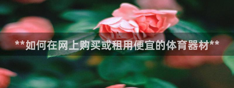 极悦平台注册官网下载：**如何在网上购买或租用便宜的
