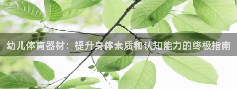 极悦娱乐官网app下载安装：幼儿体育器材：提升身体素