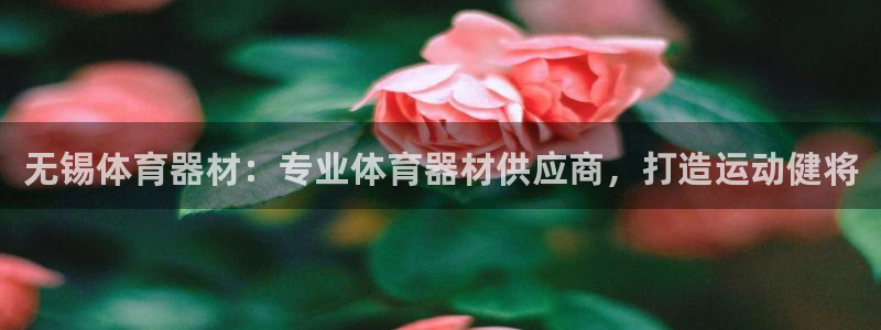 极悦娱乐会被骗吗知乎小说：无锡体育器材：专业体育器材