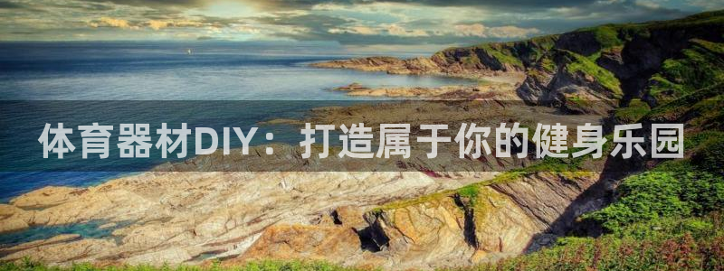 极悦平台是干嘛的啊：体育器材DIY：打造属于你的健身
