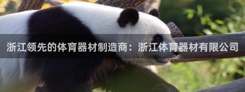 极悦娱乐的创始人背景故事介绍：浙江领先的体育器材制造