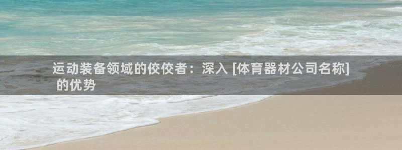 加盟极悦教育要多少钱：运动装备领域的佼佼者：深入 [
