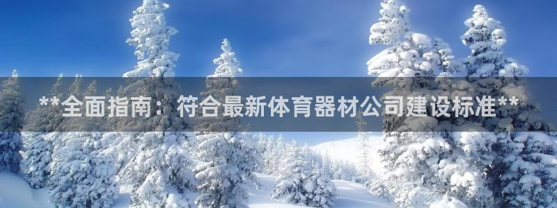 石家庄极悦空间设计有限公司：**全面指南：符合最新体
