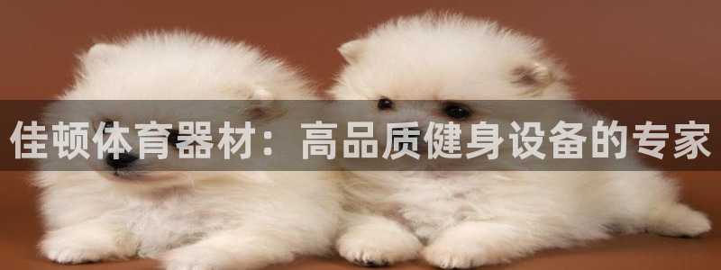 极悦娱乐官网下载安装：佳顿体育器材：高品质健身设备的