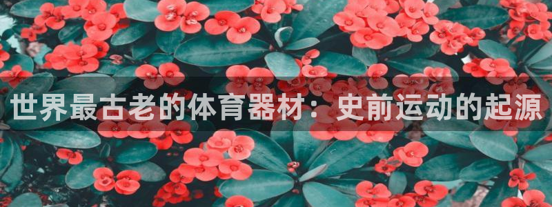 极悦平台注册登录不了：世界最古老的体育器材：史前运动