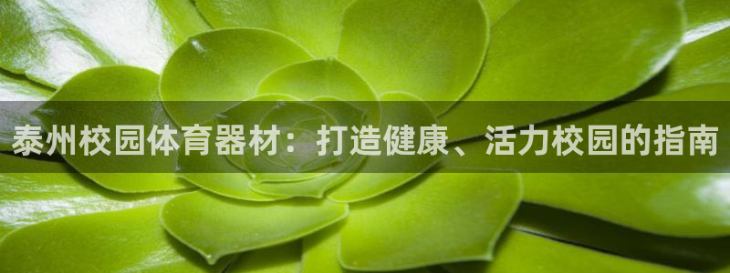 极悦平台官方网站下载安装：泰州校园体育器材：打造健康
