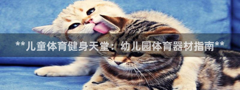 极悦娱乐会被骗吗：**儿童体育健身天堂：幼儿园体育器