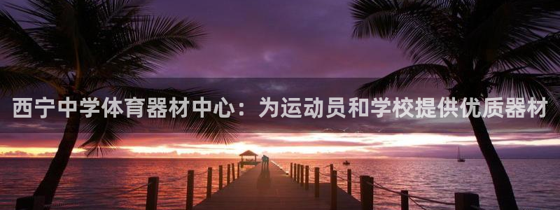 极悦娱乐的背景和历史背景是什么：西宁中学体育器材中心