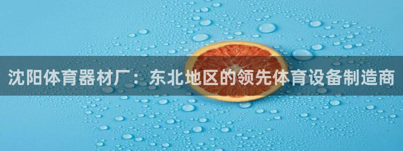 极悦平台官网登录：沈阳体育器材厂：东北地区的领先体育