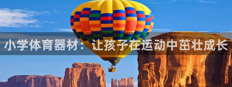 极悦娱乐官网APP下载：小学体育器材：让孩子在运动中