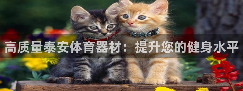 极悦娱乐官网APP下载：高质量泰安体育器材：提升您的