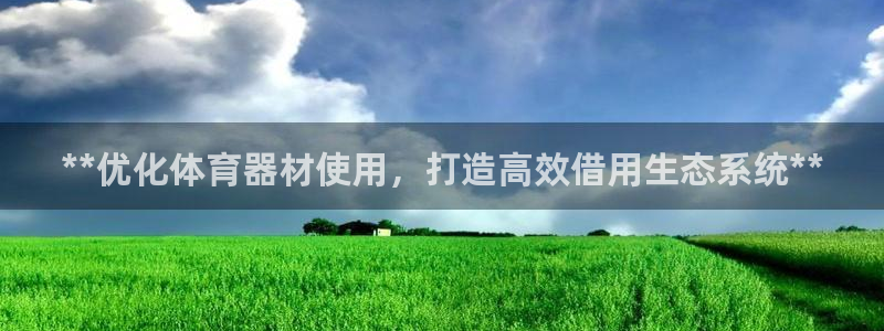 极悦平台注册：**优化体育器材使用，打造高效借用生态