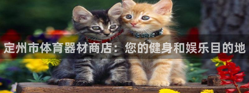 加盟极悦教育怎么样：定州市体育器材商店：您的健身和娱