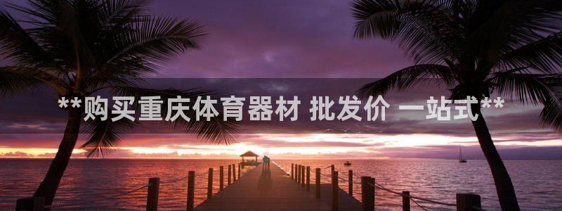 极悦平台登录方式怎么改：**购买重庆体育器材 批发价