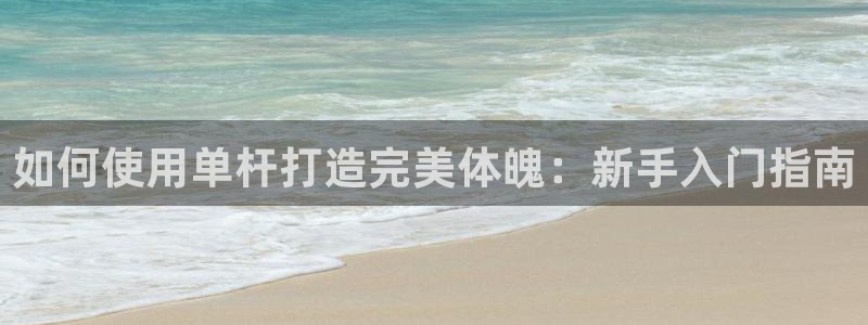 极悦官方网站入口网址大全：如何使用单杆打造完美体魄：