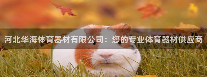极悦平台登录最新版本更新内容是什么：河北华海体育器材