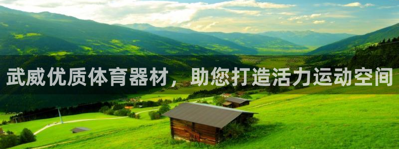 极悦平台与网易合作详情：武威优质体育器材，助您打造活