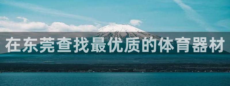 极悦娱乐现在叫什么：在东莞查找最优质的体育器材