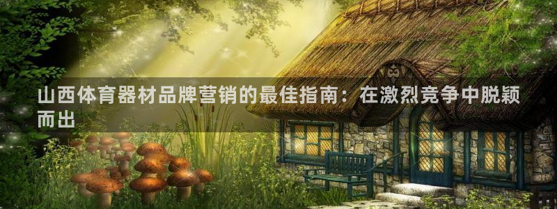 极悦平台官网登录入口手机版：山西体育器材品牌营销的最