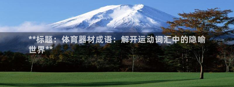 极悦平台官方网站入口链接手机：**标题：体育器材成语