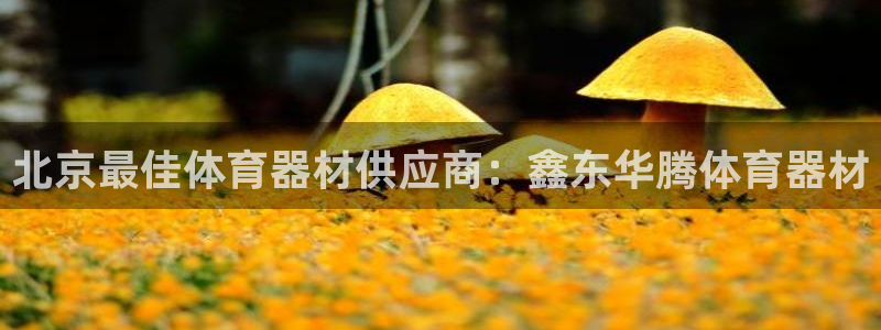 极悦平台官方网站是什么软件：北京最佳体育器材供应商：