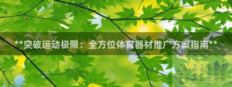 极悦平台官网入口登录：**突破运动极限：全方位体育器