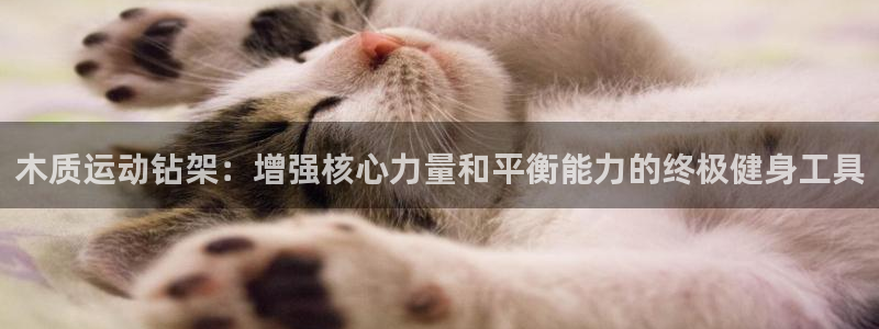 极悦娱乐官网下载app：木质运动钻架：增强核心力量和