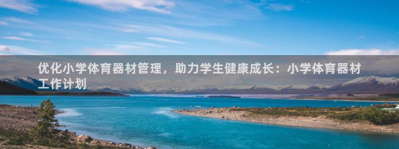 极悦平台注册申请流程详解：优化小学体育器材管理，助力