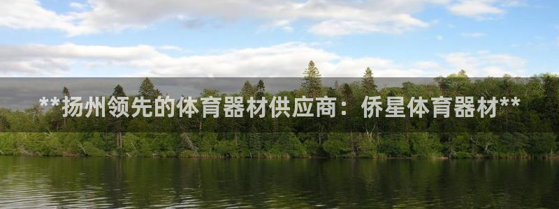 极悦平台是干嘛的公司：**扬州领先的体育器材供应商：