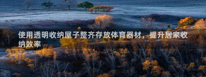 极悦平台注册用户名生成器下载：使用透明收纳屋子整齐存