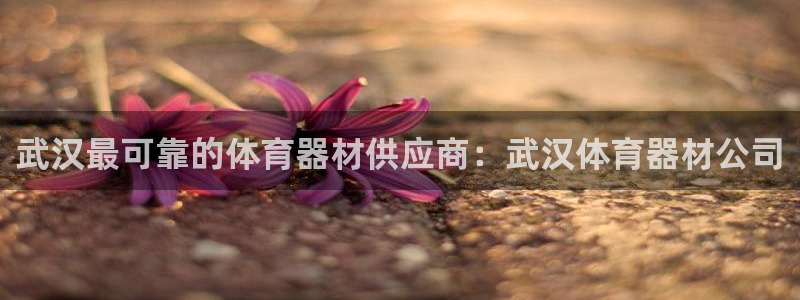 极悦平台官方网站入口网址：武汉最可靠的体育器材供应商