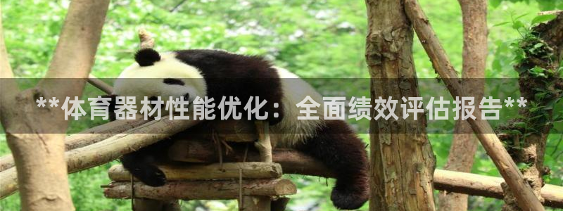 极悦娱乐的最新版本更新内容是什么：**体育器材性能优