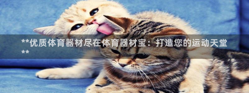 加盟极悦教育要多少钱：**优质体育器材尽在体育器材宝