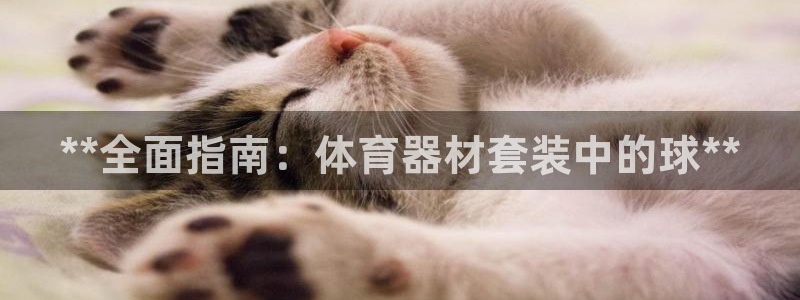 极悦娱乐官网下载app：**全面指南：体育器材套装中
