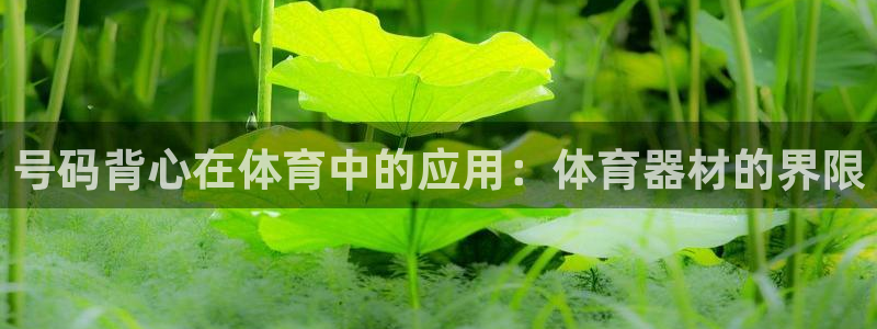 极悦平台网址皮皮虾下载：号码背心在体育中的应用：体育