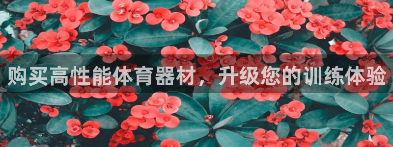 极悦娱乐贴吧：购买高性能体育器材，升级您的训练体验