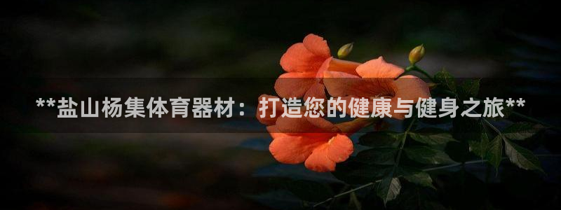 极悦生活家是什么平台：**盐山杨集体育器材：打造您的