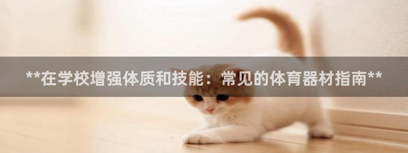 极悦娱乐管理最建议买吗：**在学校增强体质和技能：常