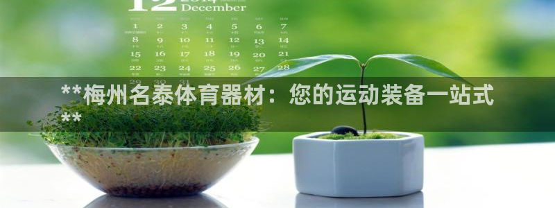 极悦平台官网登录入口下载：**梅州名泰体育器材：您的