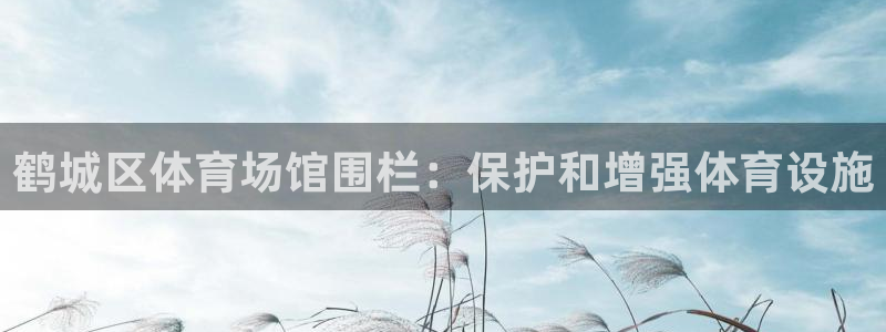 极悦平台登录方式是什么：鹤城区体育场馆围栏：保护和增