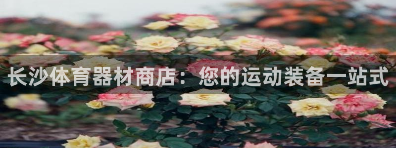 极悦平台代理怎么做赚钱：长沙体育器材商店：您的运动装