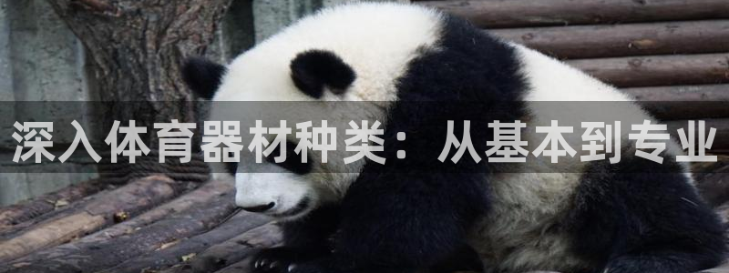 极悦平台注册流程详解图片：深入体育器材种类：从基本到