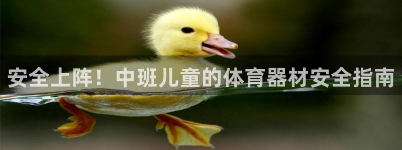 极悦平台注册用户名格式不正确：安全上阵！中班儿童的体