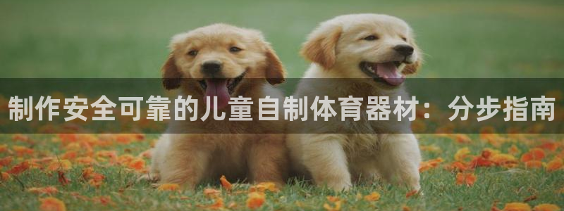 极悦娱乐官网入口网站：制作安全可靠的儿童自制体育器材