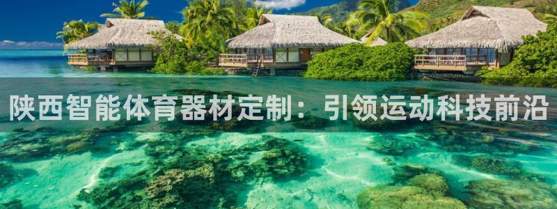 极悦平台登录入口注册：陕西智能体育器材定制：引领运动