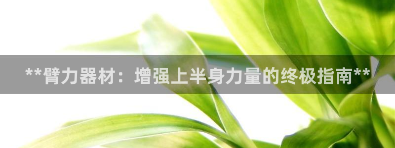 极悦娱乐官网下载app：**臂力器材：增强上半身力量